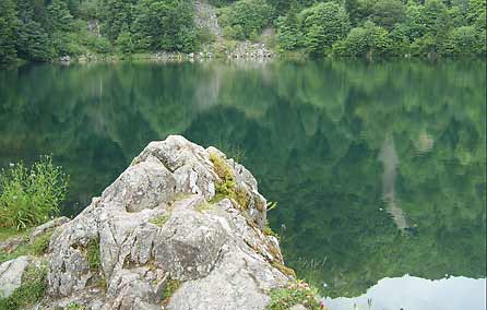 Vogesen 2009 (Bild: Lac du Perche, Sternsee)